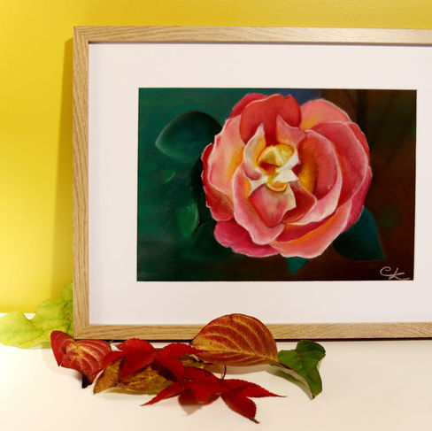"Ma rose" pastel sec 40x32cm