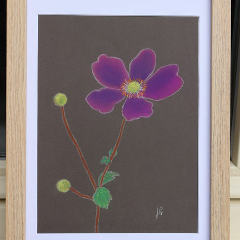 Fleur au Pastel sec