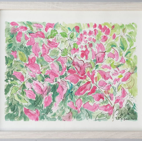 "Bougainvillier" gouache 24x30cm