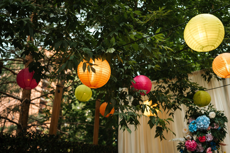 Songbird Photography