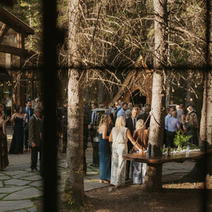 Guests gathered outdoors beneath trees during cocktail hour at The Valley wedding venue.