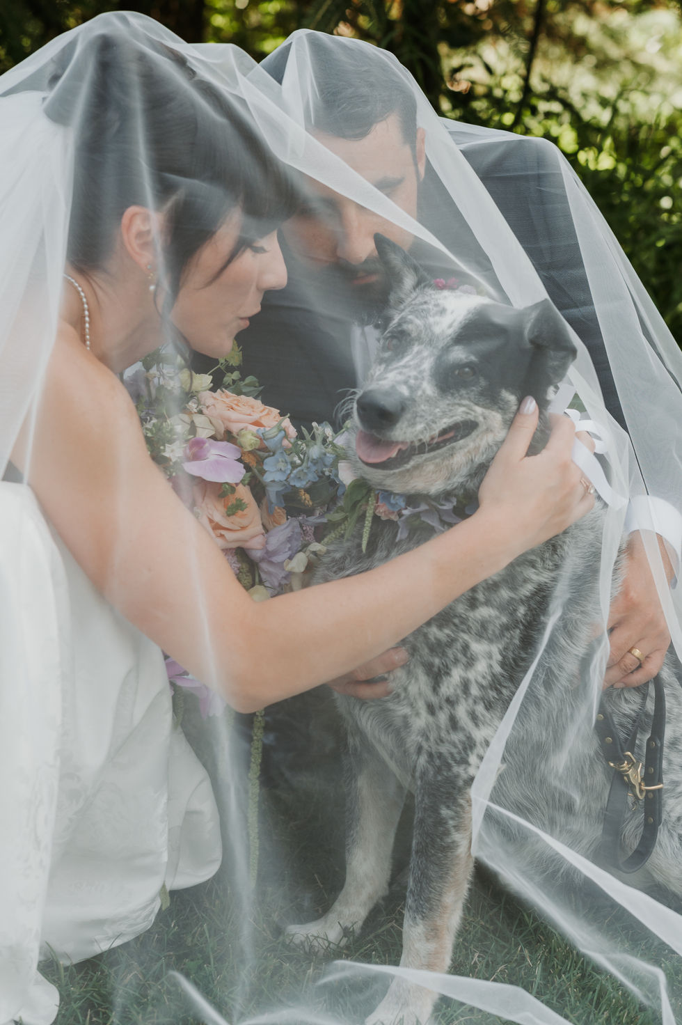 Bride cuddling her dog beneath her veil beside colourful wedding flowers.