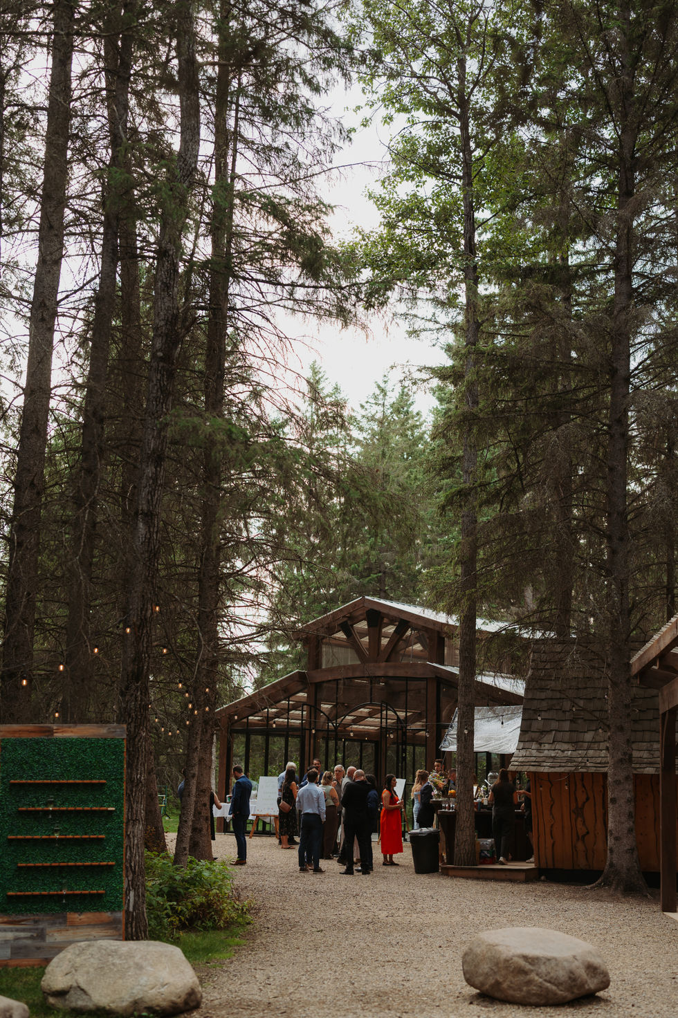 Guests outside The Valley wedding venue surrounded by tall evergreen trees.