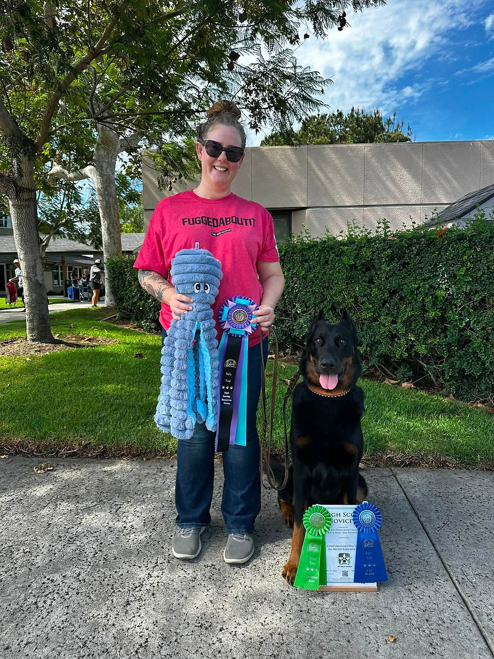 San Diego Dog Sports Club Rally Trial Novice A First Place