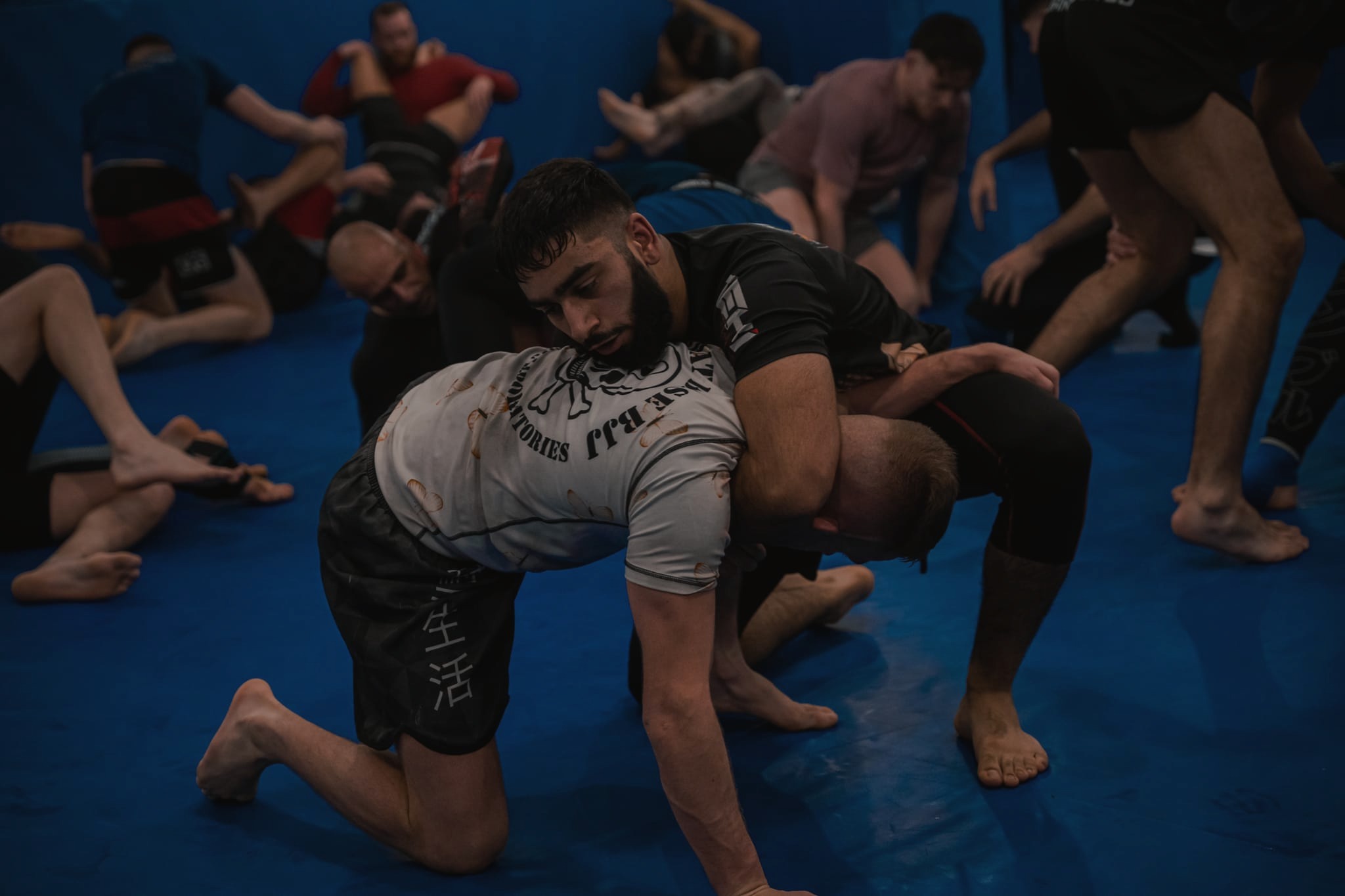 Mata Leao Brazilian Jiu Jitsu photo