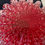 Miniature : Seguso - Vase en verre de Murano –