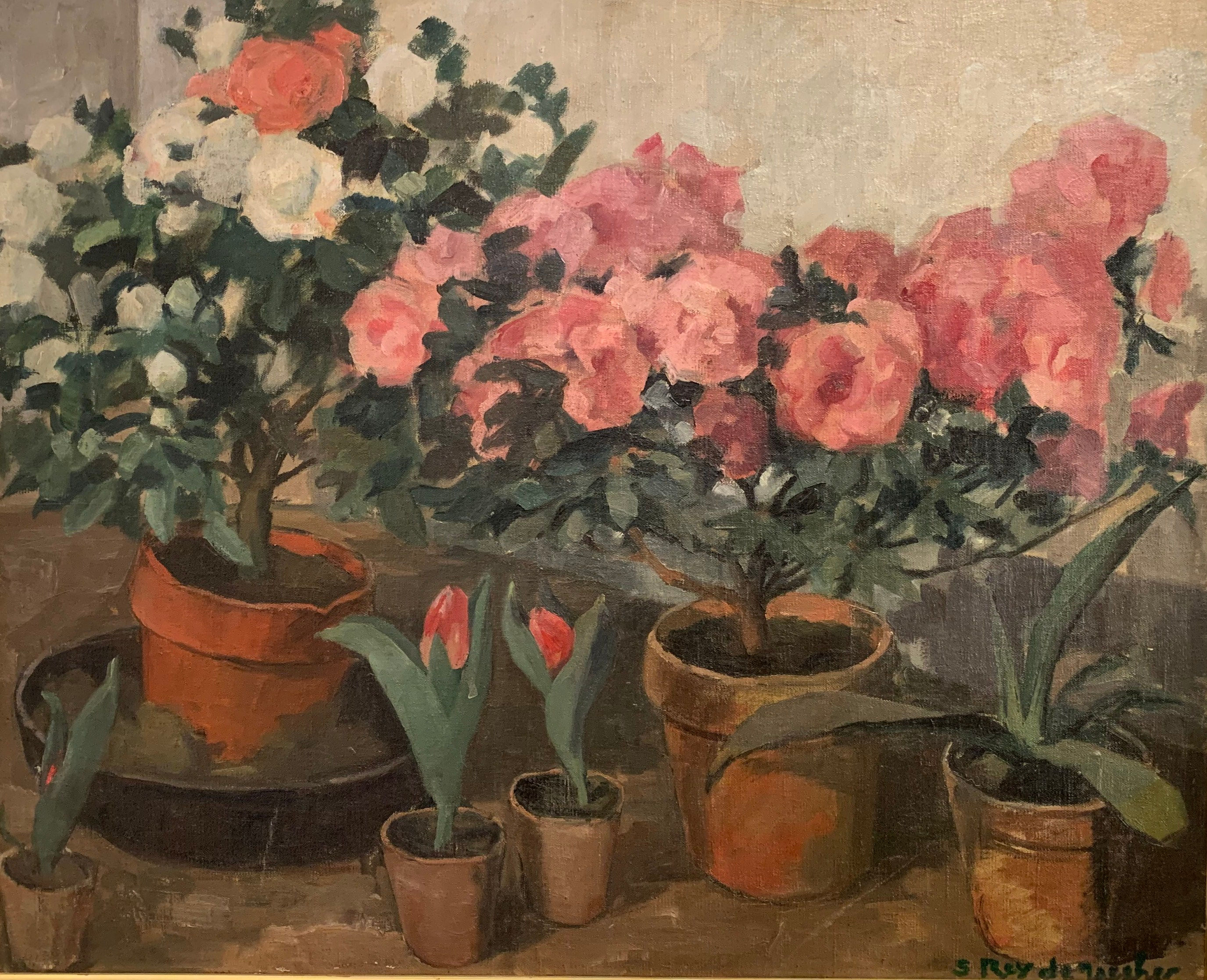 Pots d’Azalées par  Suzanne REY de JAEGHER