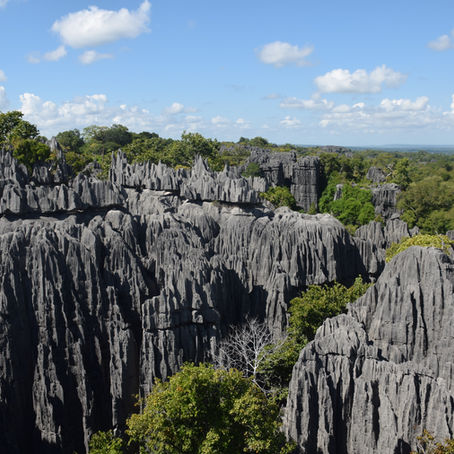 EXPLORING MADAGASCAR'S STONE FOREST