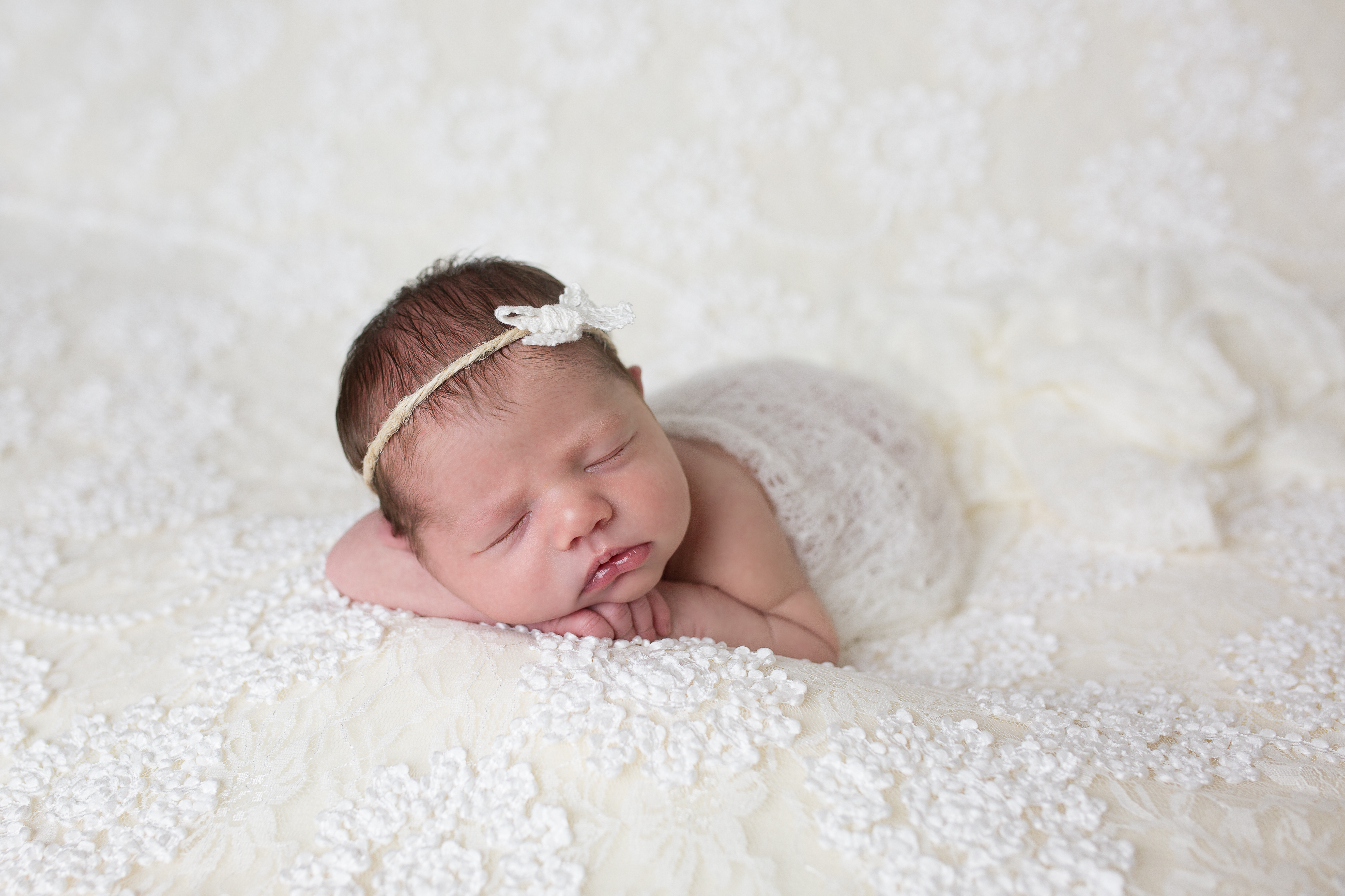 how much do newborn photo sessions cost how much do newborn photo sessions cost