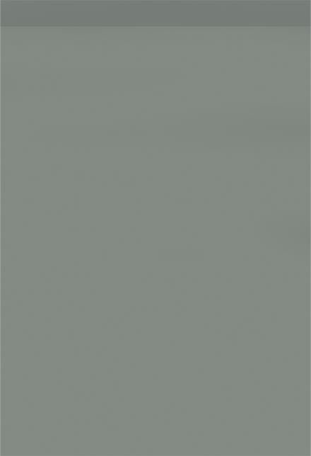 Soft neutral green slab door with silk painted finish.
