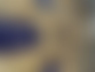 Les riverains partenaires dans l'amélioration de leur cadre de vie