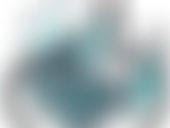 Procès-verbal de l’Assemblée Générale de l’ARQV