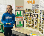 Mold a study of microbiology