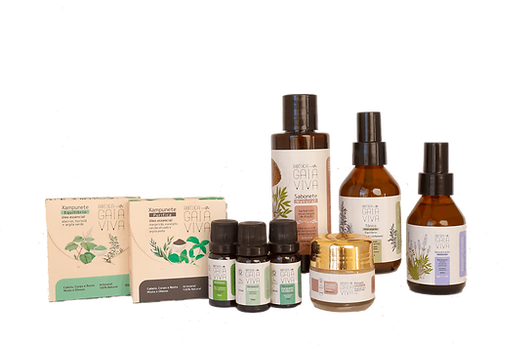 foto de todos os produtos
