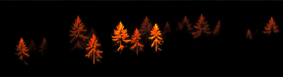 landscape silhouette of a forest with black background and trees highlighted in orange_edi
