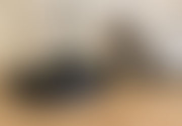 Make your pet no longer afraid of vacuum cleaners