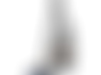 What is difference between canister or upright vacuum cleaner?