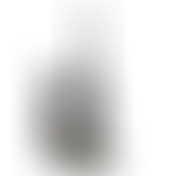 Can a vacuum cleaner suck cat hair?