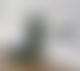 Is the iRobot Roomba i4 + worth buying?