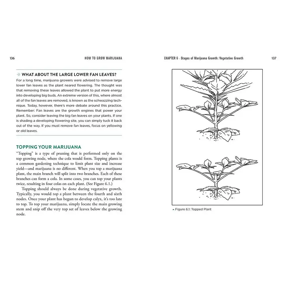 Thumbnail: How To Grow Marijuana By Murph Wolfson