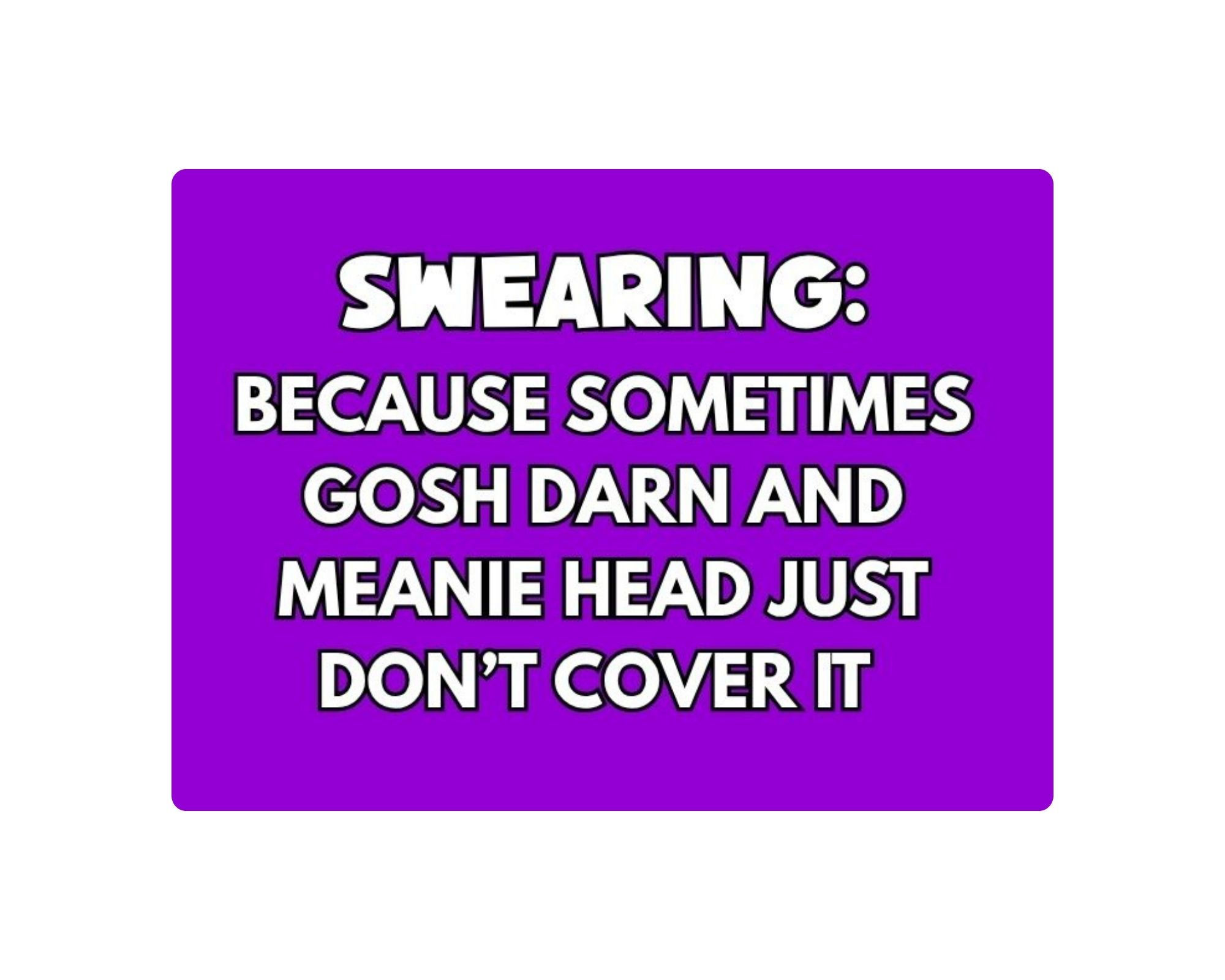 Magnet -Swearing because sometimes gosh darn and meanie head just don't cover it