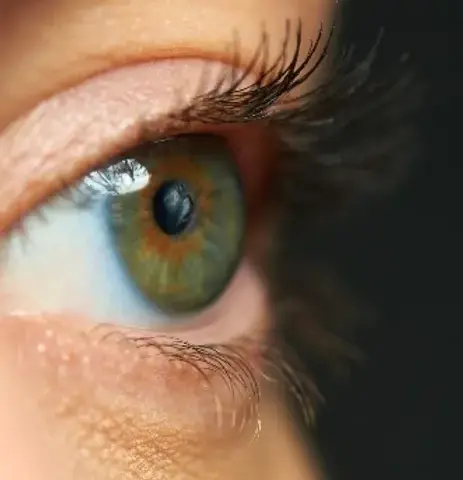 Soft lenses: comfort and convenience at your fingertips