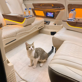Boldrum Transfer, Bodrum Havaaalanı Transfer, Bodrum vip transfer, Bodrum havaalanı vip transfer