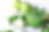 Smoothie verde