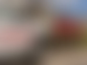 Provo Utah Landscaping Services