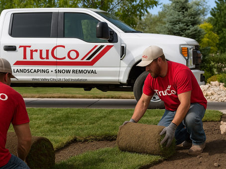 West Valley City Utah Sod Installation