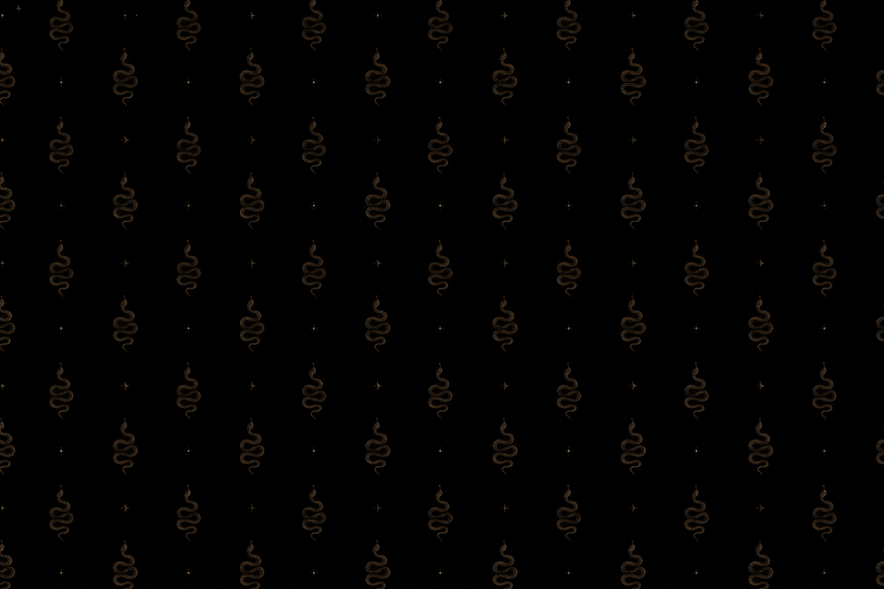Snake pattern Header image.png