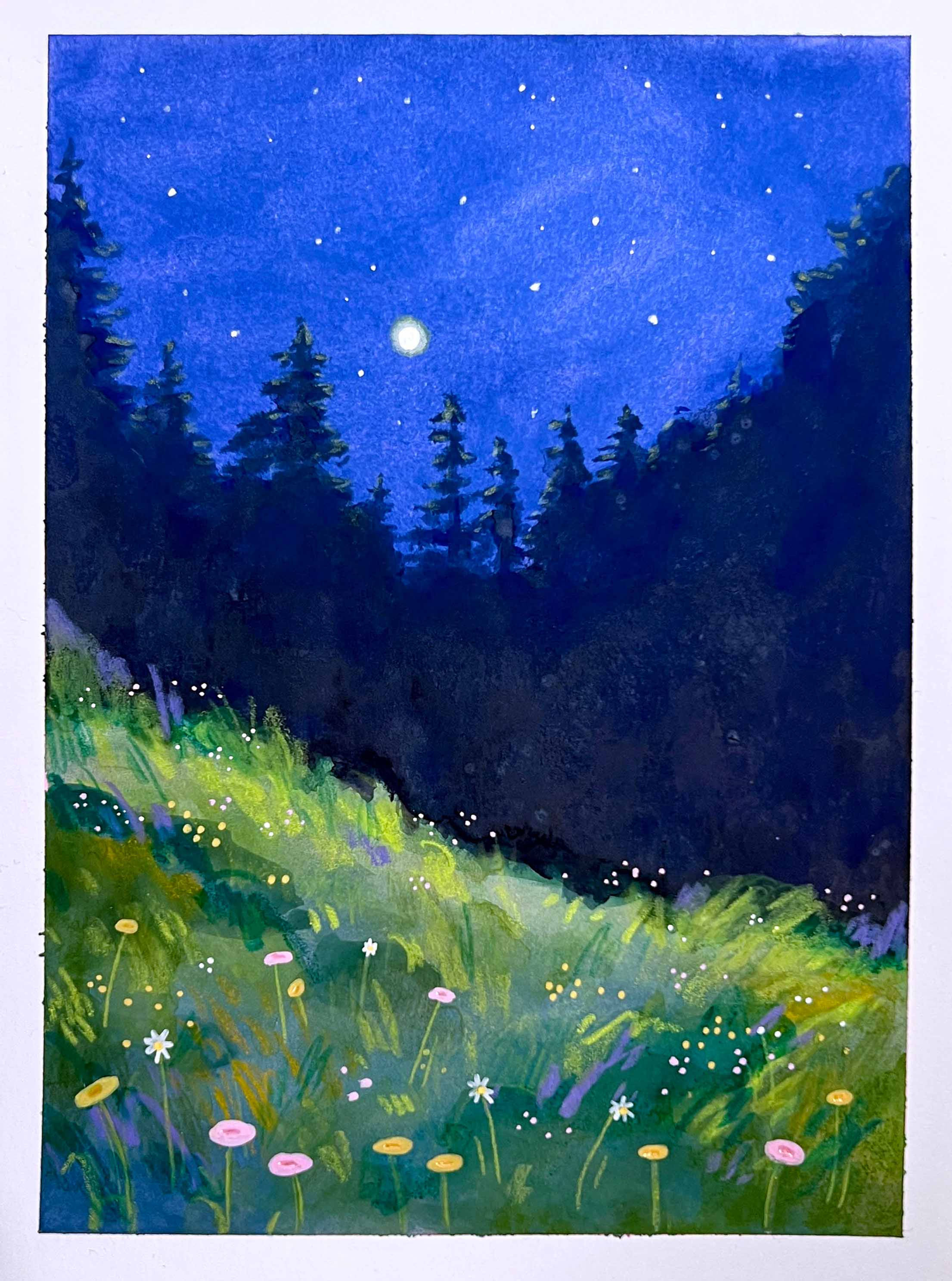 night meadow