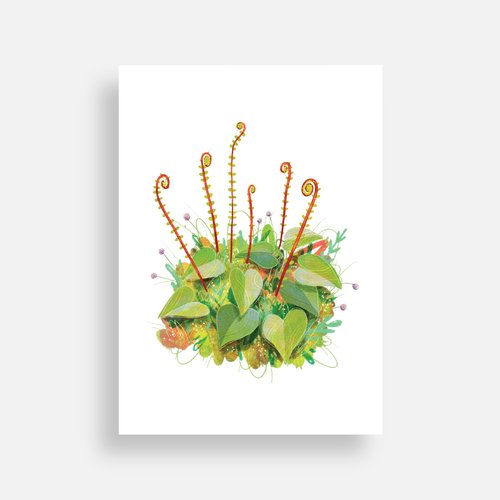 Deer Fern