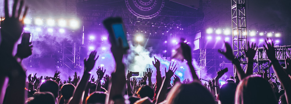 Concert Crowd