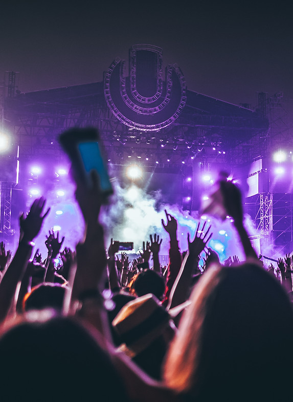 Concert Crowd