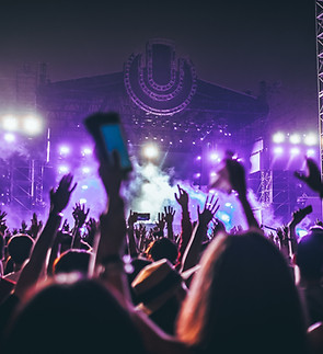 Concert Crowd