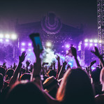 Concert Crowd