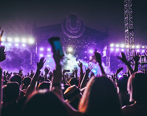Concert crowd