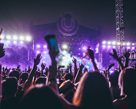 Concert Crowd