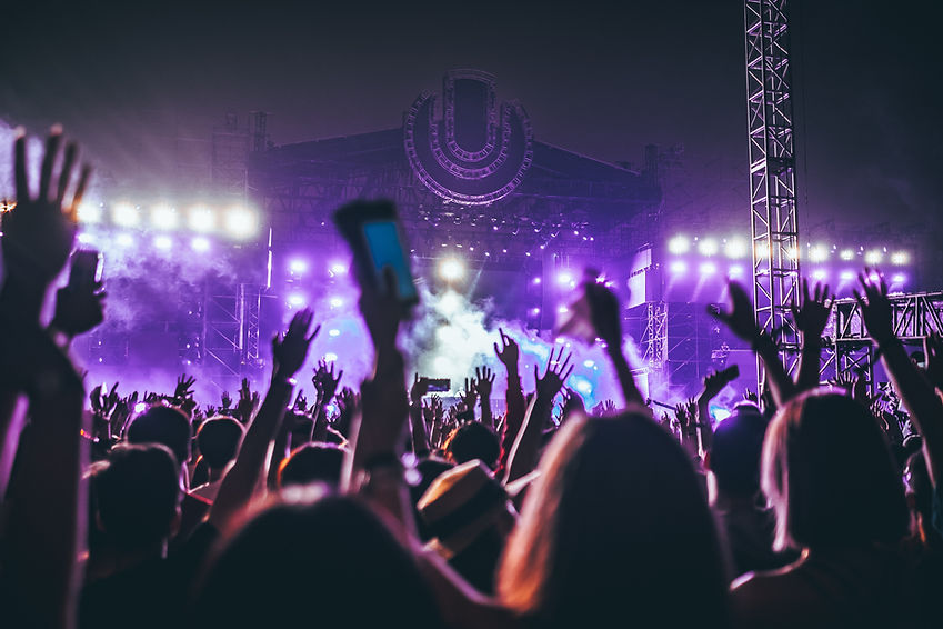 Concert Crowd