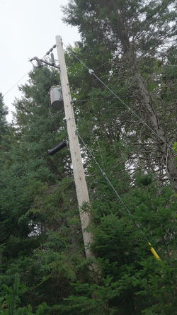 Hydro Pole north end