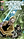 Star_Wars_The_Screaming_Citadel_1.png