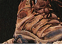 gridlayingphotohigherdpi-05.png