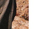 gridlayingphotohigherdpi-18.png