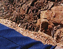 gridlayingphotohigherdpi-22.png