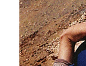 gridlayingphotohigherdpi-19.png