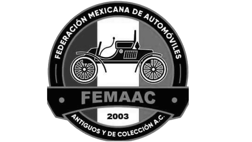 FEMAAC_2003