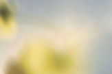 _ (26)_edited.jpg