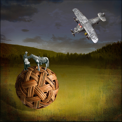 Beckwith Thompson: Grans Aeroplane