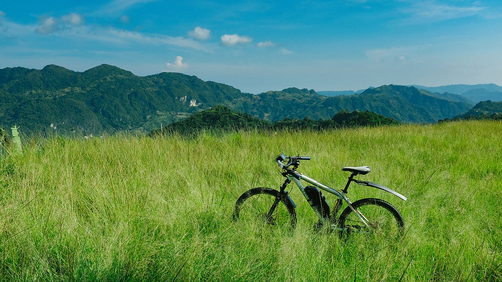 The Road Less Travelled, Cebu City